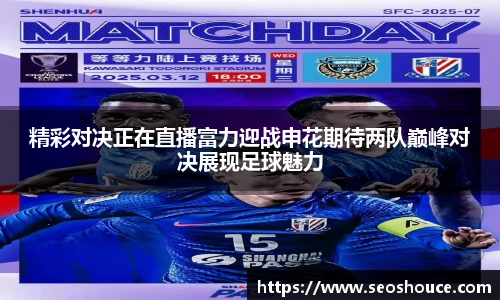 精彩对决正在直播富力迎战申花期待两队巅峰对决展现足球魅力